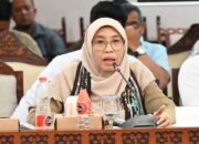 Gempa NTT, Netty Soroti Kesehatan Jiwa Korban dan Relawan