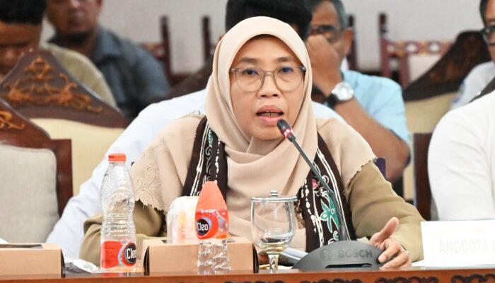 Gempa NTT, Netty Soroti Kesehatan Jiwa Korban dan Relawan