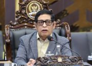 RUU Reforma Agraria Dikebut, Bob Hasan Targetkan Rampung Sebelum Hari Tani