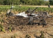 Tiga Hari Pascapesawat Jatuh, Petani Tembakau di Blora Terkendala Panen dan Belum Ada Ganti Rugi