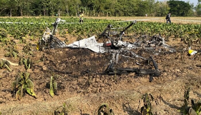 Tiga Hari Pasca Pesawat Jatuh, Petani Tembakau di Blora Terkendala Panen dan Belum Ada Ganti Rugi