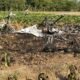 Tiga Hari Pasca Pesawat Jatuh, Petani Tembakau di Blora Terkendala Panen dan Belum Ada Ganti Rugi