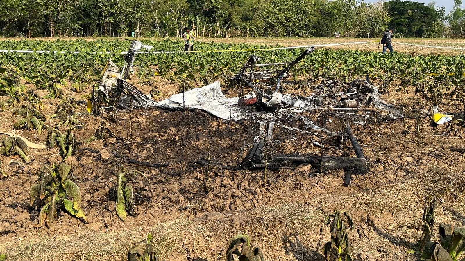 Tiga Hari Pascapesawat Jatuh, Petani Tembakau di Blora Terkendala Panen dan Belum Ada Ganti Rugi