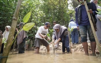 FISIP UNIRA Malang Bawa Mahasiswa Baru ke Pesisir, 1.000 Mangrove Ditanam di Kondangmerak