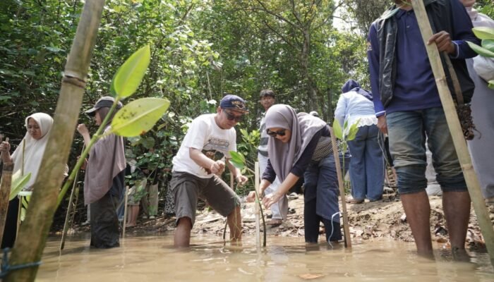 FISIP UNIRA Malang Bawa Mahasiswa Baru ke Pesisir, 1.000 Mangrove Ditanam di Kondangmerak