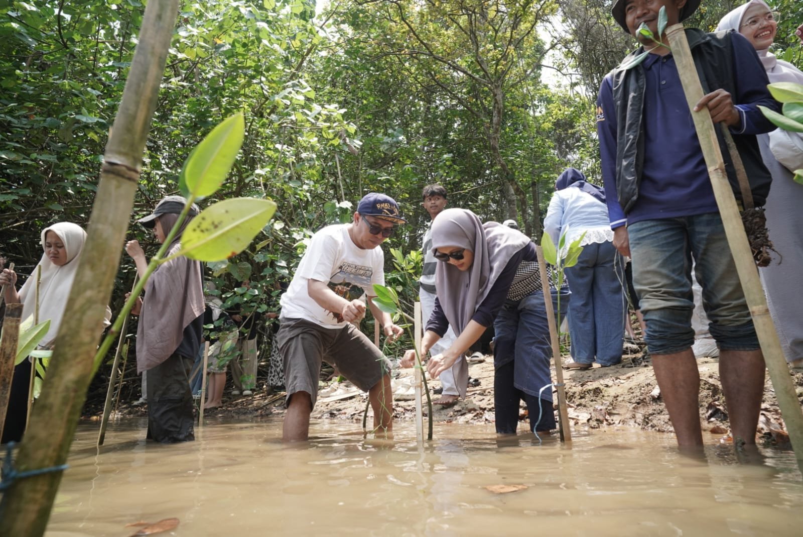 FISIP UNIRA Malang Bawa Mahasiswa Baru ke Pesisir, 1.000 Mangrove Ditanam di Kondangmerak