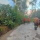 Api dari Bukit Watangan Menjalar ke Malang, Jalur Jemplang-Ranu Pane Ditutup