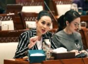 Badan Siber Diperkuat Jadi Koordinator? Amelia Ingatkan Jangan Jadi “Super Body”