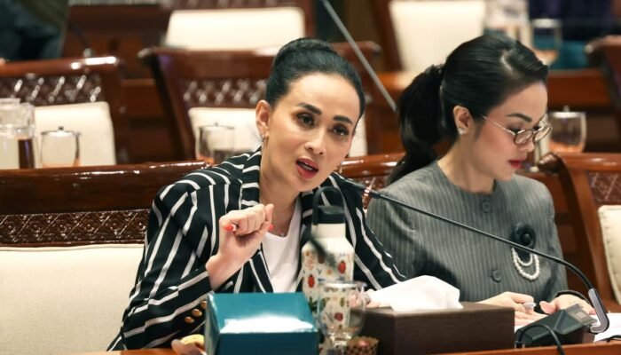 Badan Siber Diperkuat Jadi Koordinator? Amelia Ingatkan Jangan Jadi “Super Body”