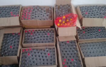2.307 Botol Miras Ilegal Disita, Polres Malang Petakan Jalur Peredarannya