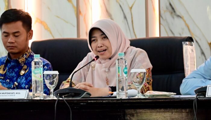 Desil Warga Bergeser, Kurniasih Dorong Perbaikan Sistem Data dalam RUU Statistik
