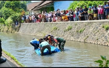 Heboh! Warga Lumbang Ditemukan Tewas Tersangkut di Aliran Kali Gading