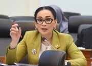 Serangan Siber Makin Kompleks, Amelia Minta Rantai Komando Diperjelas