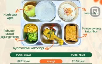 Hasil Lab Ungkap Bakteri Bacillus Cereus pada Sop dan Ayam Woku SPPG Sukorejo 2
