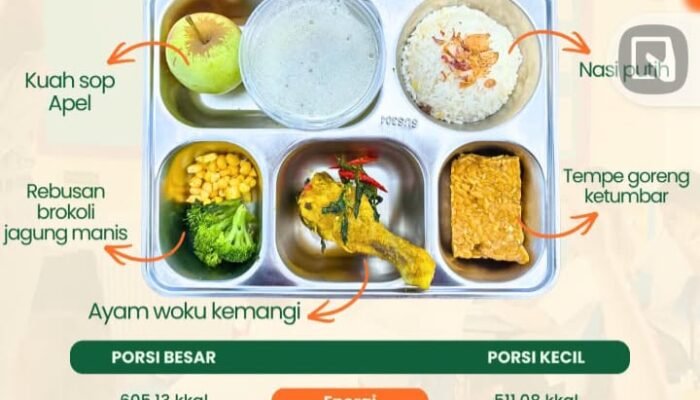 Hasil Lab Ungkap Bakteri Bacillus Cereus pada Sop dan Ayam Woku SPPG Sukorejo 2