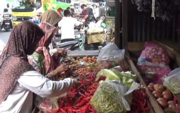 Cuaca Ekstrem Bikin Harga Cabai di Jombang Melonjak, Tomat Ikut Naik