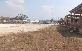 Pemkab Blora Mulai Manfaatkan Aset Mangkrak, Eks Pasar Hewan Jiken Disiapkan untuk Ekonomi Kerakyatan