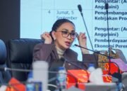 Jenazah Ditemukan di Enggano, Amelia Desak Pencarian 7 Korban Hilang Dihitung Ulang