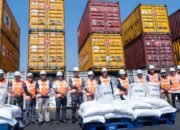 Ngaku Impor Ammonium Chloride, Bea Cukai Temukan 202 Ton Beras dan 211 Ton Garam