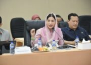 Bahan Baku dan Biaya Menekan Industri, Novita Minta Pemerintah Jaga Daya Saing