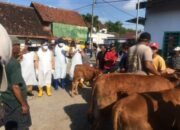 Jombang Zero Kasus PMK Sejak April, 14.675 Dosis Vaksin Disebar ke Peternak