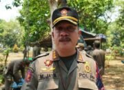 Tiga Kali Diperingatkan, Satpol PP Bongkar Bedak Semi Permanen di Fasum Mayjen Sungkono