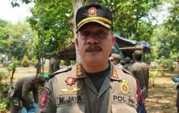 Tiga Kali Diperingatkan, Satpol PP Bongkar Bedak Semi Permanen di Fasum Mayjen Sungkono