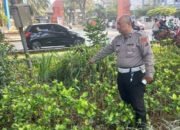 Oleng di Jalan Veteran, Pemotor Honda Beat Tewas Hantam Median Taman