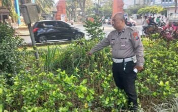 Oleng di Jalan Veteran, Pemotor Honda Beat Tewas Hantam Median Taman