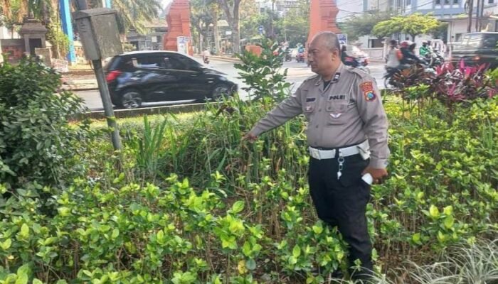 Oleng di Jalan Veteran, Pemotor Honda Beat Tewas Hantam Median Taman