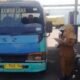 ​Dishub Jombang Gencarkan Sinergi dan Evaluasi Transportasi Ramah Lingkungan ​