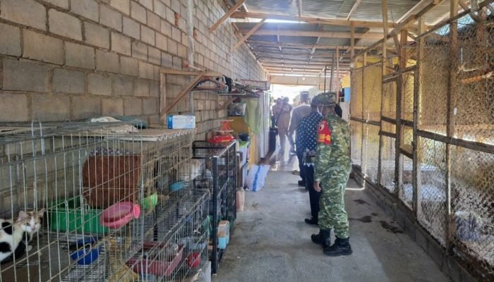 Kandang Anjing Cak Dur Jadi Sorotan, Petugas Turun Cek Lokasi, Pembongkaran Tertunda