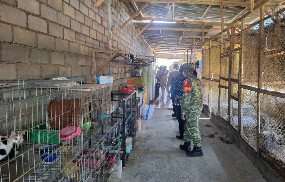 Kandang Anjing Cak Dur Jadi Sorotan, Petugas Turun Cek Lokasi, Pembongkaran Tertunda