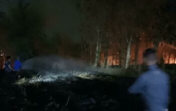Dua Kebakaran Terjadi di Kabupaten Malang, Bengkel dan Lahan Bambu Dilalap Api