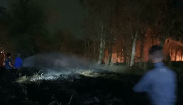 Dua Kebakaran Terjadi di Kabupaten Malang, Bengkel dan Lahan Bambu Dilalap Api
