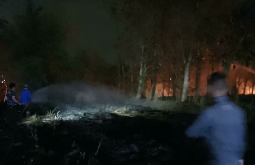 Dua Kebakaran Terjadi di Kabupaten Malang, Bengkel dan Lahan Bambu Dilalap Api