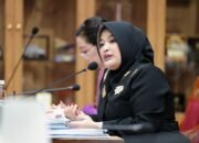 Audit BPK Tak Cukup Berujung Opini, Annisa Uji Gagasan Audit Impact Index Asep