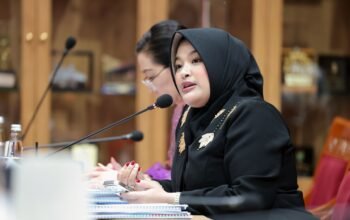 Audit BPK Tak Cukup Berujung Opini, Annisa Uji Gagasan Audit Impact Index Asep