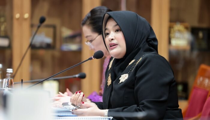 Audit BPK Tak Cukup Berujung Opini, Annisa Uji Gagasan Audit Impact Index Asep
