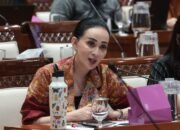 RUU KKS, Amelia Soroti Jangan Ada Saling Lempar Tanggung Jawab Saat Serangan Siber