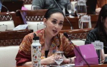 RUU KKS, Amelia Soroti Jangan Ada Saling Lempar Tanggung Jawab Saat Serangan Siber