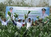 Fantastis! Potensi Ekonomi Tembakau Jombang Tembus Rp487 Miliar