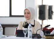 Dugaan Korupsi Dana Bencana, Atalia Praratya Desak Audit Tata Kelola BNPB