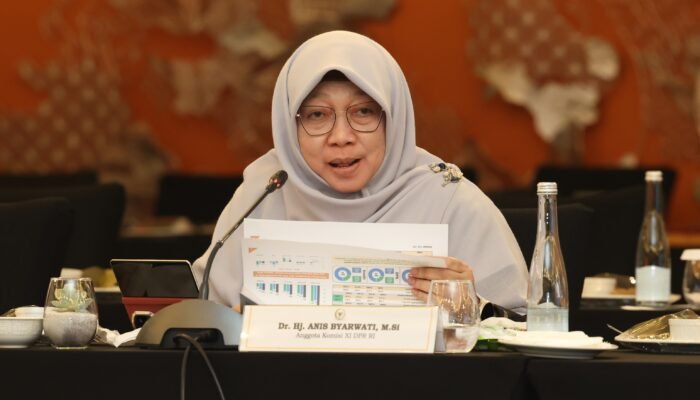 48 BPR di Jawa Barat Dicabut Izinnya, Anis Soroti Pengawasan