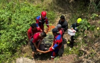 Sempat Hilang Sehari, PNS Perempuan Ditemukan Hidup di Dasar Jurang 15 Meter di Malang