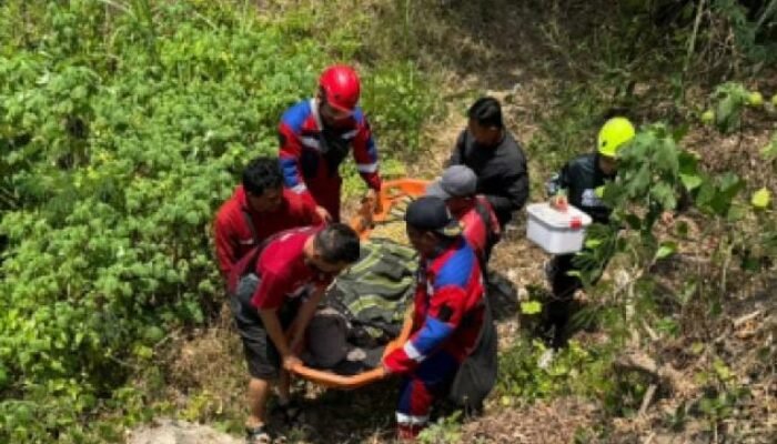 Sempat Hilang Sehari, PNS Perempuan Ditemukan Hidup di Dasar Jurang 15 Meter di Malang