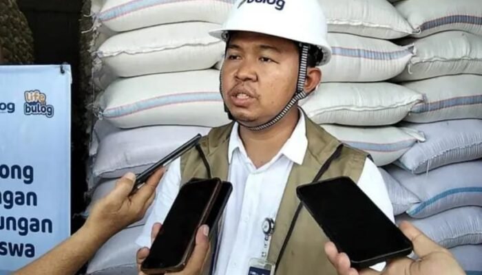 Lampaui Target! Bulog Serap 77.300 Ton Beras, Petani Jombang Ikut Diuntungkan
