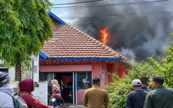 Kardus Tiba-Tiba Terbakar, Api Lahap Toko Buket dan Aksesoris di Turen hingga Rugi Rp500 Juta