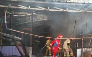 Gudang Kayu di Dau Dilalap Api, Kerugian Ditaksir Tembus Rp200 Juta
