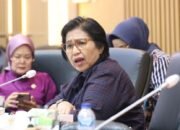 Irma Suryani Dorong Penguatan Layanan Kesehatan bagi Warga Terdampak Asap di Kalsel